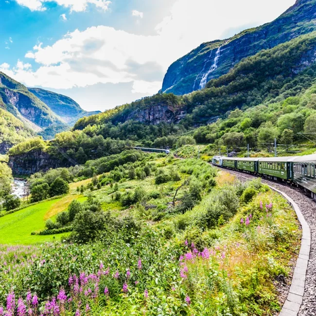 Blick aus der Flåmbahn auf eine grüne, bergige Landschaft in Norwegen. Blumen wachsen im Vordergrund, während im Hintergrund ein Wasserfall die Felsen hinabstürzt.