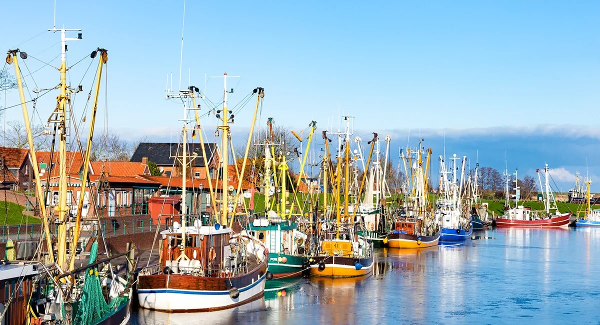 Eine Reihe bunter Krabbenkutter, die im idyllischen, historischen Hafen von Greetsiel in Ostfriesland unter strahlend blauem Himmel vor Anker liegen.