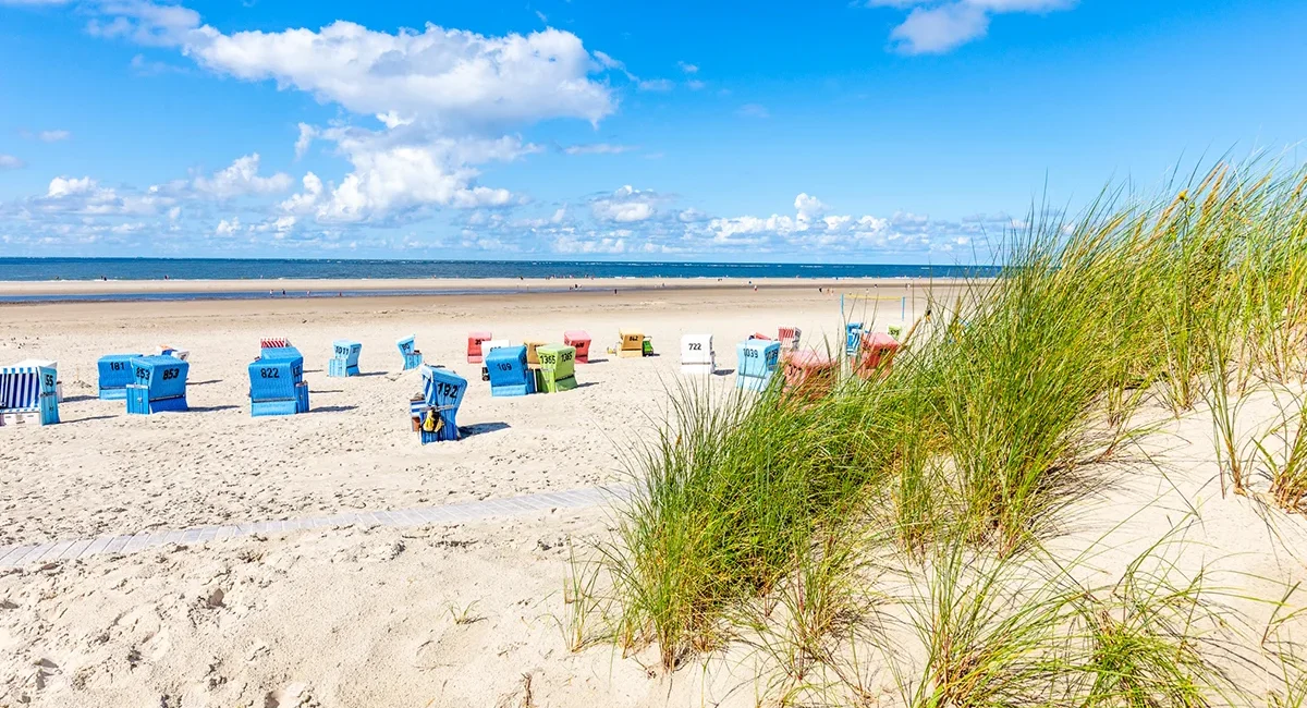 Eine sonnige Dünenlandschaft mit Strandhafer im Vordergrund und zahlreichen bunten Strandkörben auf einem weitläufigen Sandstrand an der Nordsee.