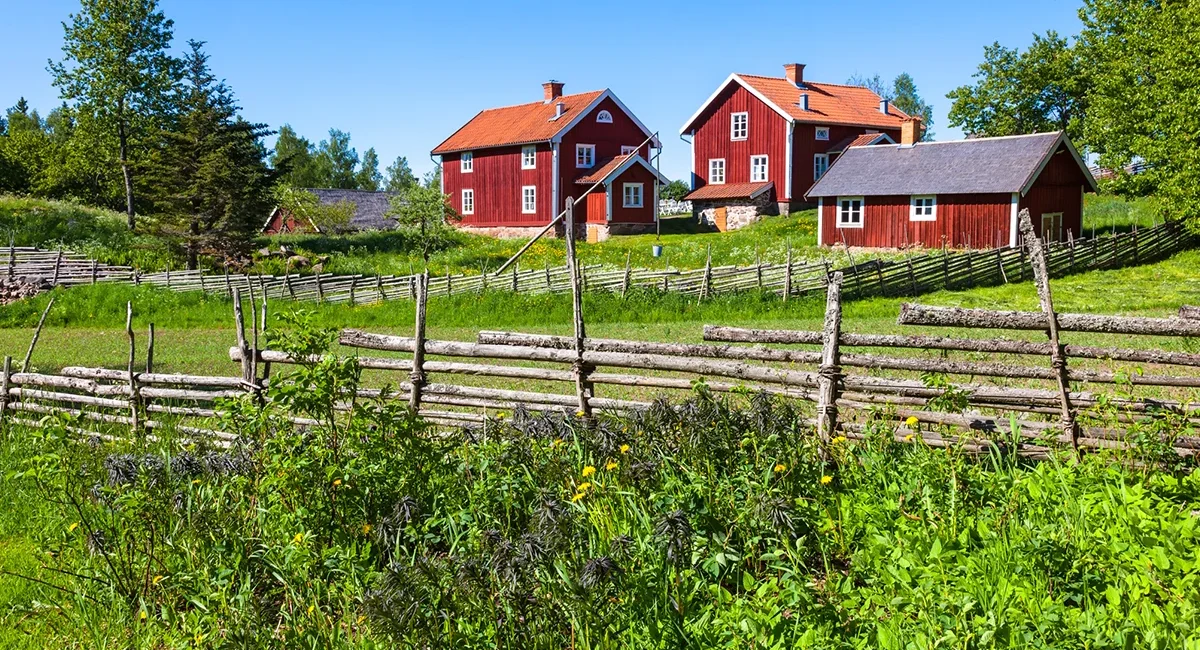 Ein kleiner, idyllischer Bauernhof in Schweden mit roten Gebäuden in einer grünen Landschaft.