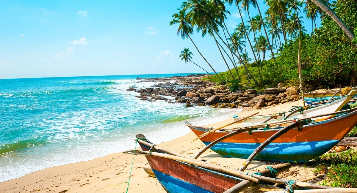 Bunte Fischerboote liegen am Strand in Sri Lanka, im Hintergrund stehen Palmen.