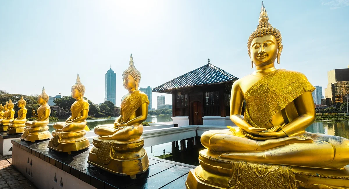 In einem Tempel in Colombo stehen mehrere goldene Buddha-Statuen nebeneinander.