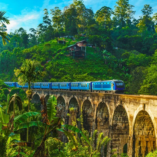 Ein Zug fährt über die Nine Arches Bridge bei Ella in Sri Lanka. Die steinerne Eisenbahnbrücke liegt in einer grünen Landschaft.