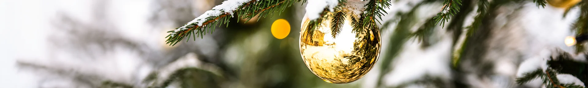 Eine Weihnachtskugel hängt an einem verschneiten Weihnachtsbaum vor einer winterlichen Landschaft im Panorama.