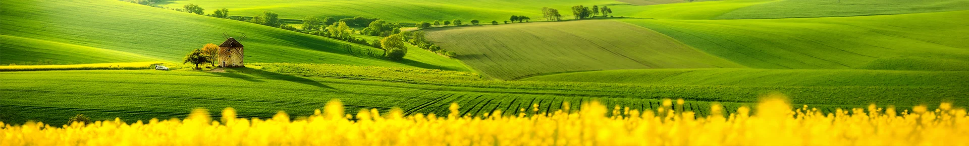 Panoramablick über Felder in Tschechien mit einer Mühle in der ländlichen Landschaft.