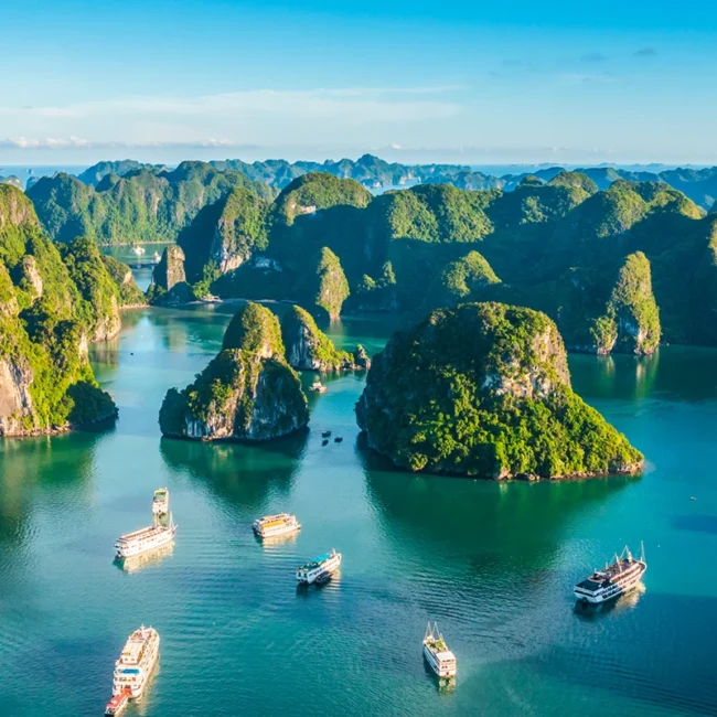Kalksteinfelsen und Inseln der Halong-Bucht in Vietnam aus der Luft gesehen
