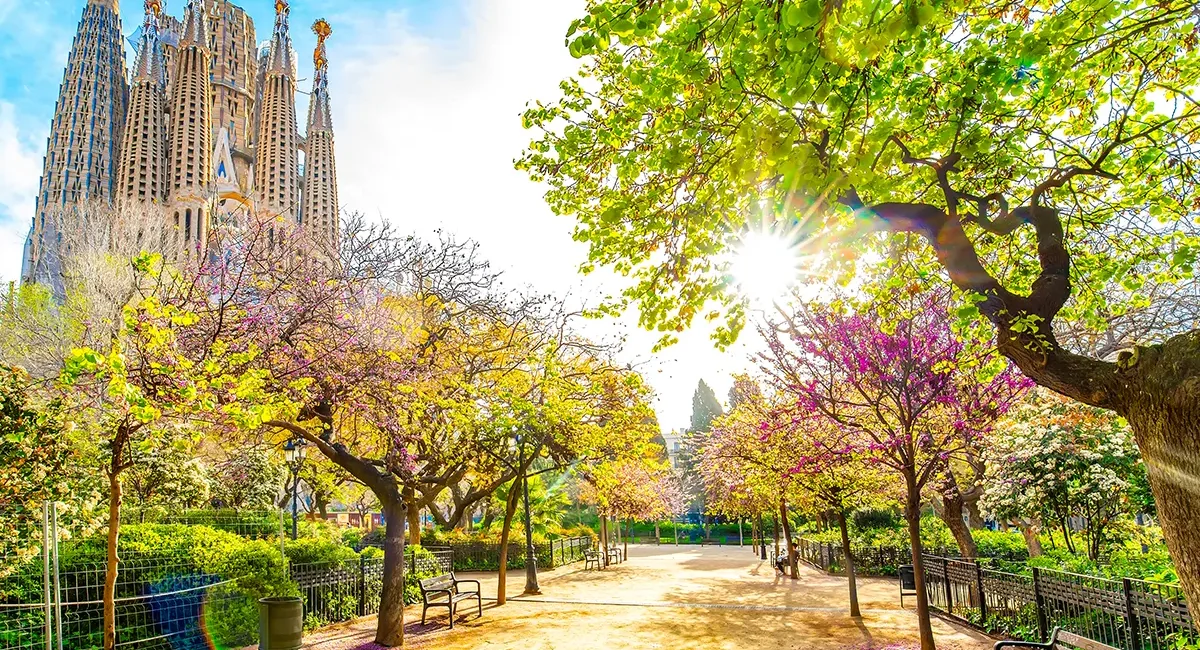 Die Sagrada Família in Barcelona im Frühling, umgeben von blühenden Bäumen.