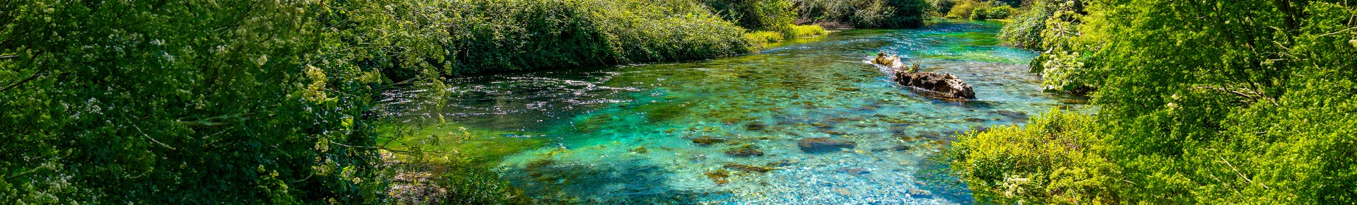 Das Blue Eye in Albanien, eine glasklare, türkisfarbene Karstquelle, die eingebettet in üppiges grünes Gebüsch aus der Tiefe quillt.