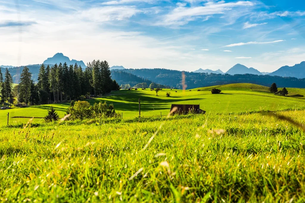 Saftig grüne Wiesen und Berge im Allgäu unter weitem Himmel