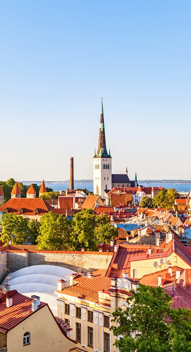 Der hohe, spitze Turm der mittelalterlichen Olaikirche über den charakteristischen roten Ziegeldächern der historischen Altstadt von Tallinn in Estland.