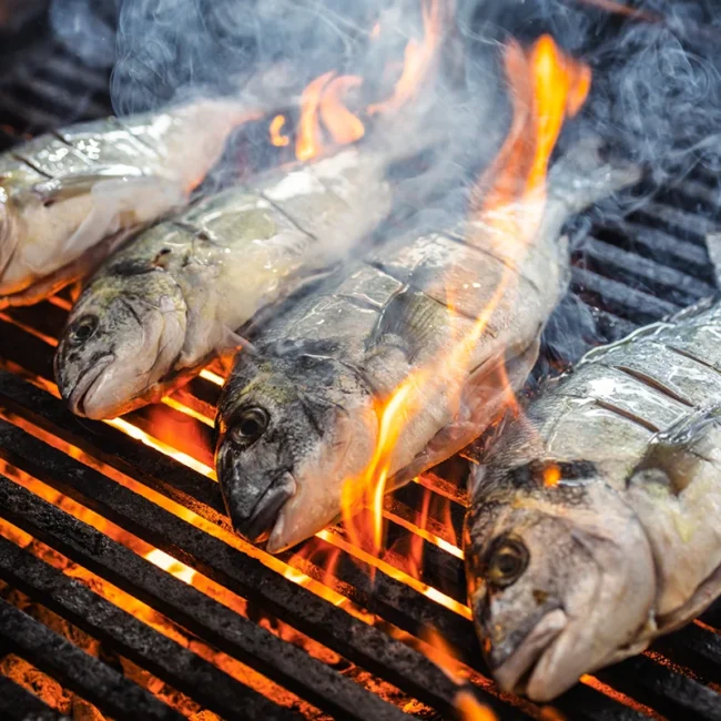 Mehrere Fische werden in Bulgarien auf einem Grill über offenem Feuer zubereitet.