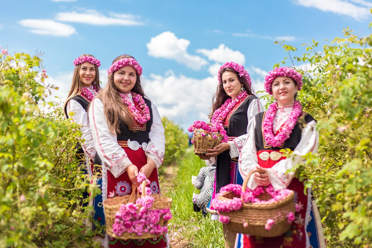 Vier Frauen und Mädchen in traditioneller bulgarischer Tracht stehen bei der Rosenernte und halten Körbe voller Rosen in den Händen.