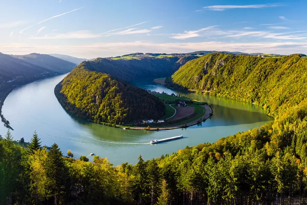 Blick von oben auf die Schlögener Schlinge in Österreich, wo sich die Donau in einer großen Schleife durch die grüne Landschaft windet.