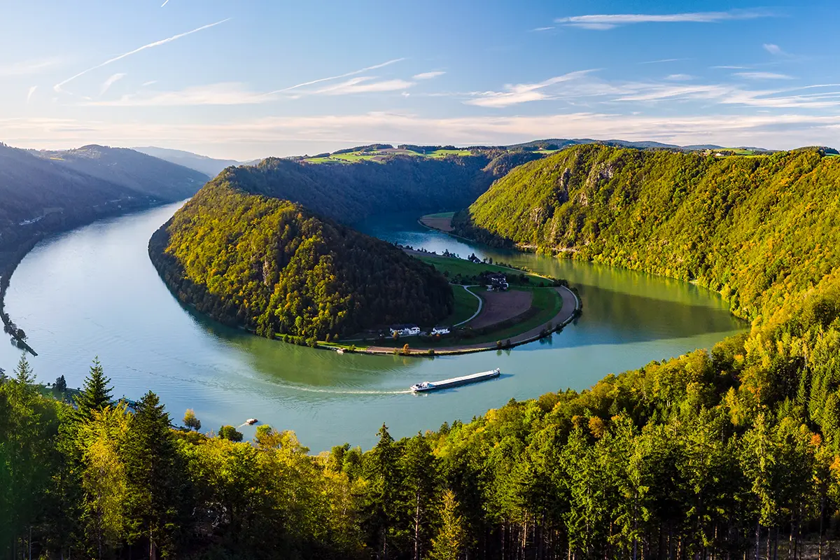 Blick von oben auf die Schlögener Schlinge in Österreich, wo sich die Donau in einer großen Schleife durch die grüne Landschaft windet.