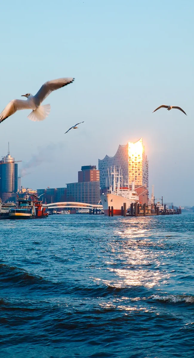 Die sonnenbeschienene Elbphilharmonie und das Museumsschiff Cap San Diego im Hamburger Hafen, während Möwen über die glitzernde Elbe fliegen.
