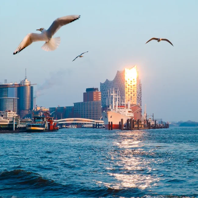 Die sonnenbeschienene Elbphilharmonie und das Museumsschiff Cap San Diego im Hamburger Hafen, während Möwen über die glitzernde Elbe fliegen.