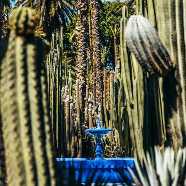 Ein leuchtend blauer Brunnen, der inmitten eines üppigen Gartens voller verschiedener Kakteen und Palmen steht.