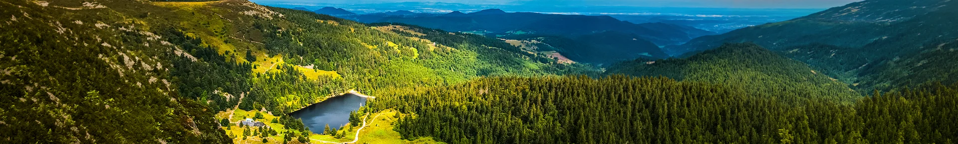 Panorama der Vogesen mit sanften Bergen, Wäldern und weiter Landschaft