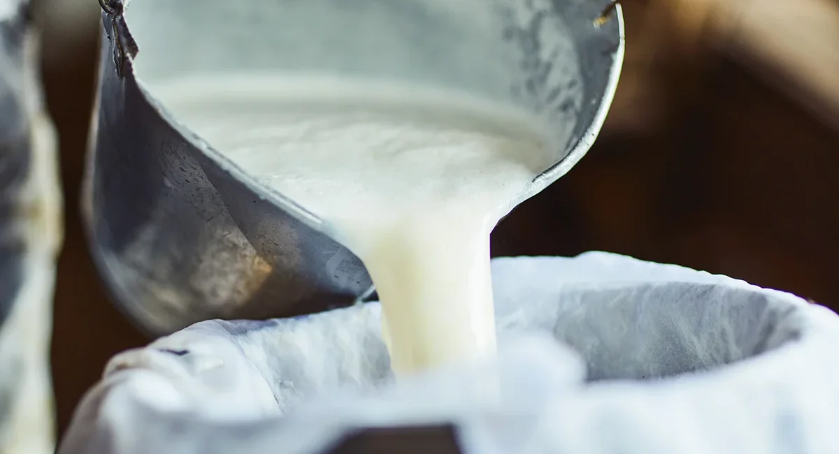 Milch Verarbeitung in der Slowakei