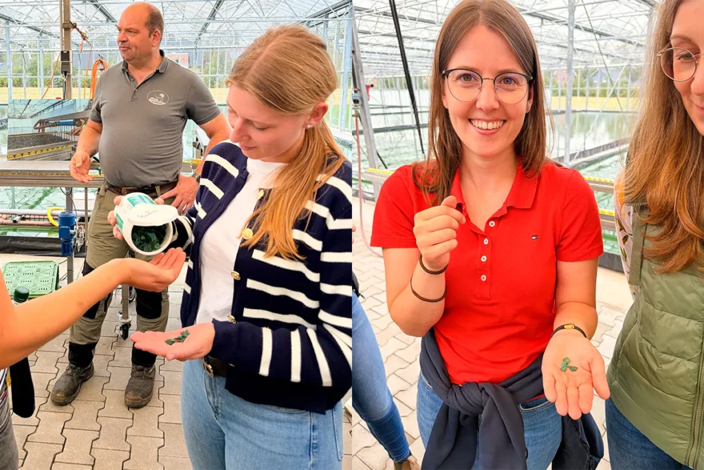 JungeLandFrauen-Muensterland-Reisebericht-landwirtschaft-algen-landfrauen